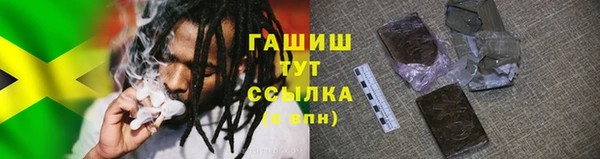 твердый Инта