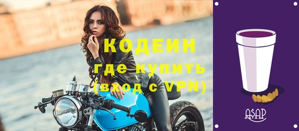 твердый Инта