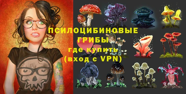 дживик Инсар