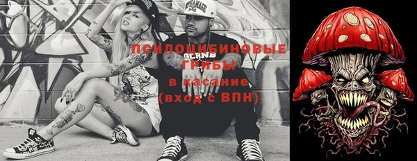 дживик Инсар