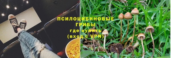 дживик Инсар