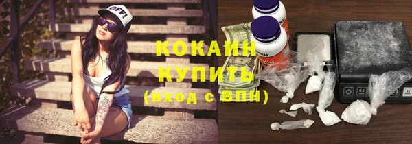твердый Инта