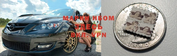твердый Инта