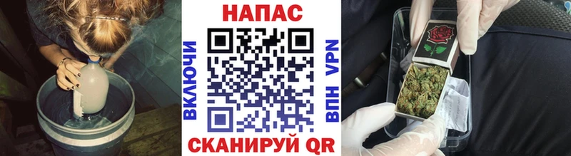 Бошки Шишки ГИДРОПОН  Купить  Калач-на-Дону 